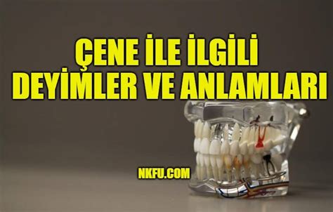 Çene ile ilgili deyimler