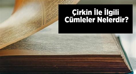 Çirkin ile ilgili cümleler