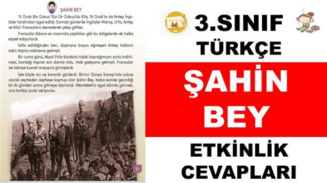 Şahin bey metni cevapları