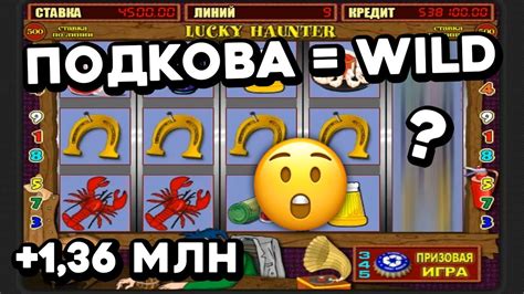 Казино go-wild играть на реальные деньги