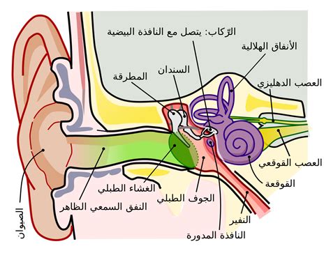 أسباب ثقب طبلة الأذن