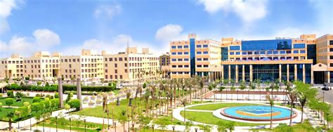 أفضل التخصصات الجامعية في مصر