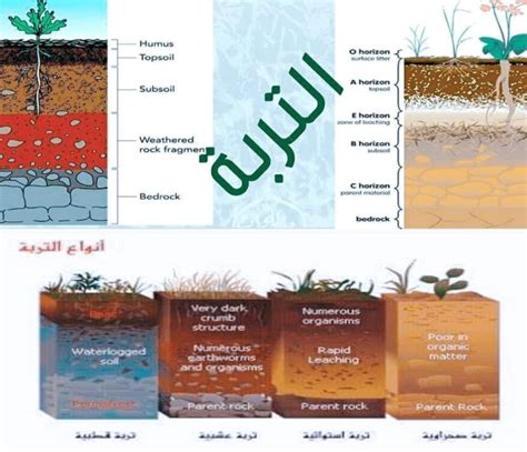 أنواع التربة وخصائصها