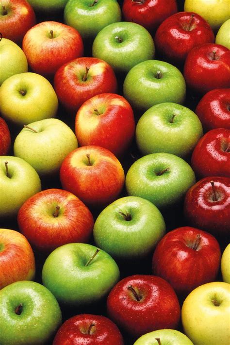 أنواع التفاح