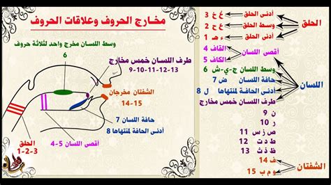 أنواع مخارج الحروف بالشرح