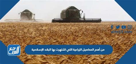 أهم المحاصيل الزراعية التي اشتهرت بها البلاد الإسلامية