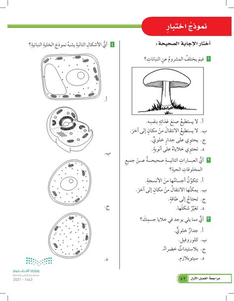 أي الأشكال التالية يشبه الخلية النباتية