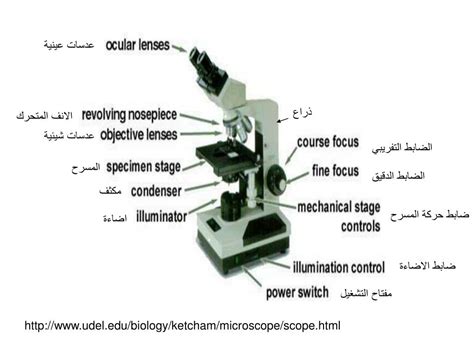 اجزاء الميكروسكوب ووظائفها بالانجليزي pdf