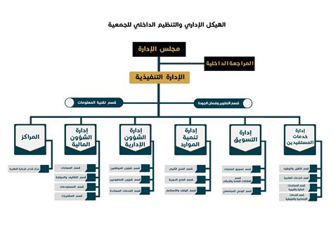 اعادة هيكلة وتطوير داء البنوك المصرية pdf doc