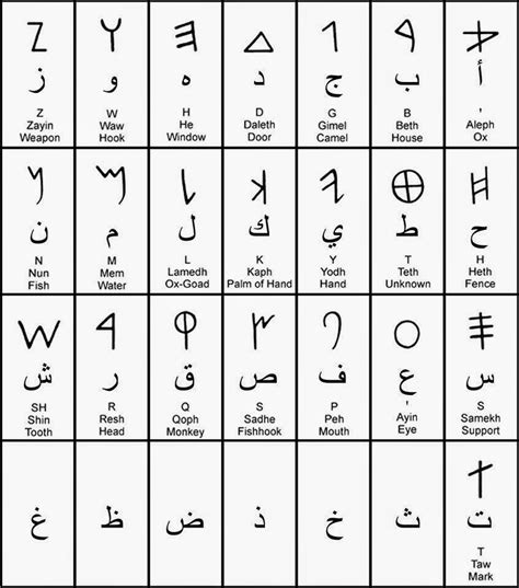 الابجدية الفينيقية والخط العربي pdf