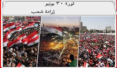 الاسباب السياسيه لظهور الارهاب فى مصر بعد 30 يونيو pdf