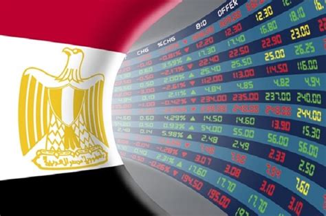 الاستثمار فى مصر pdf