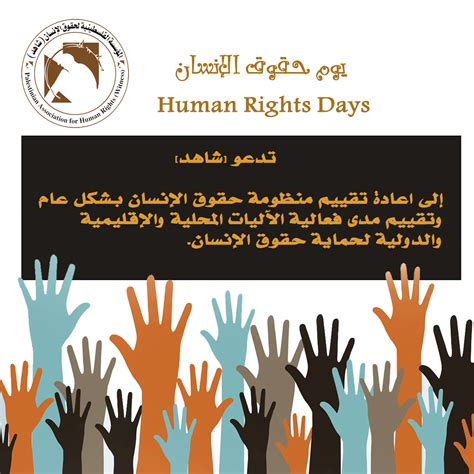 الاليات الدولية لحماية حقوق الانسان pdf