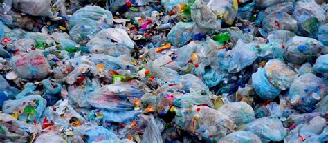 البلاستيك والبيئة