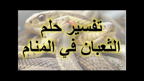 الثعبان لابن شاهين