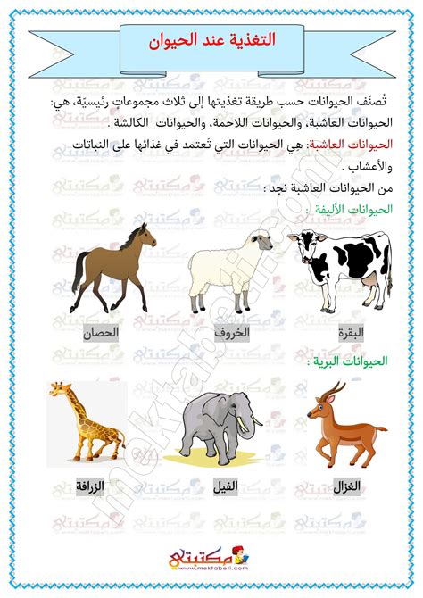 الحيوان في الأمثلة العربية pdf