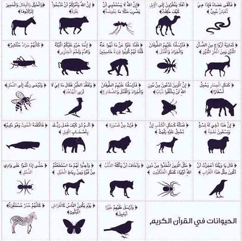 الحيوان في القرآن الكريم pdf