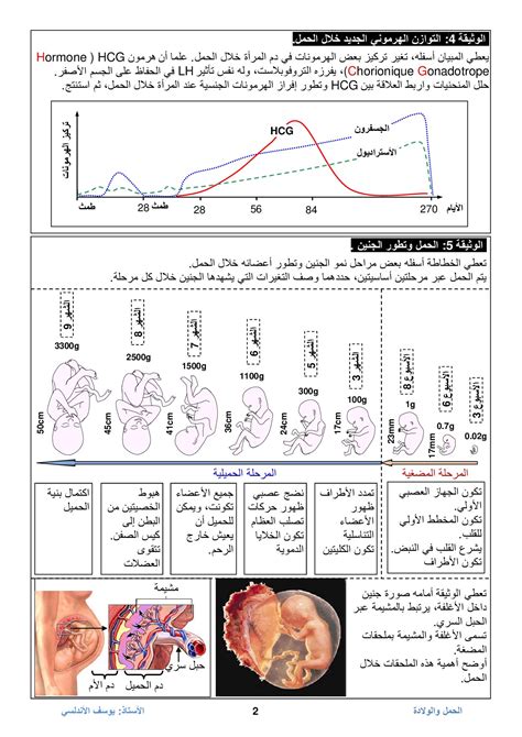 الدليل الكامل الحمل والولادة وحديثى الولادة pdf