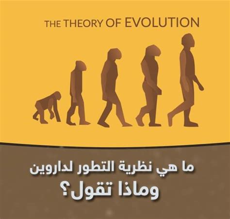 الرد على نظرية التطور pdf
