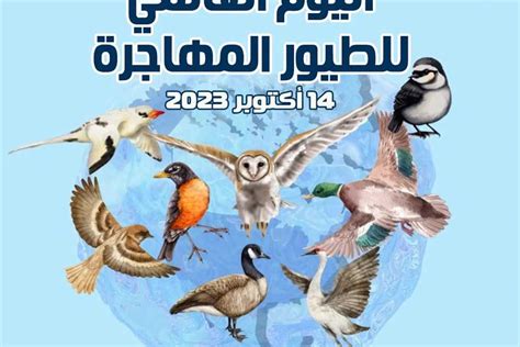 الطيور مصر قانون pdf