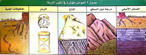 العوامل المؤثرة على التربة