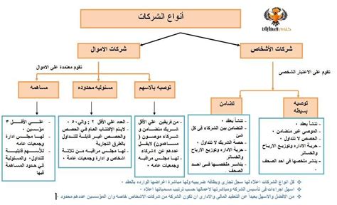 انواع الشركات فى مصر pdf
