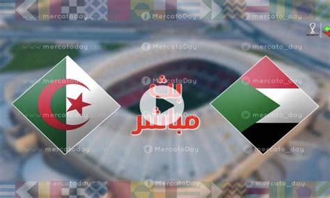 بث مباشر نهائي كأس العرب للناشئين 2022