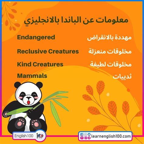 بحث باللغة الانجليزية عن حيوان الباندا بصيغة pdf