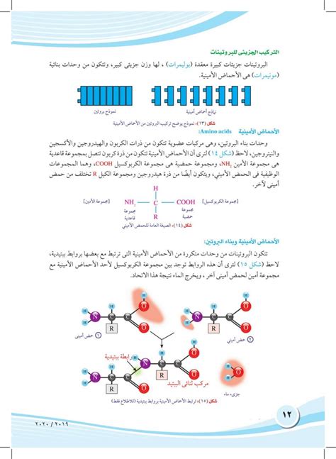 بحث عن التركيب الكيميائي للجرام pdf