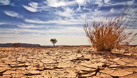بحث عن التصحر والجفاف pdf