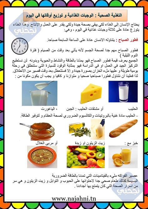 بحث عن الغذاء pdf