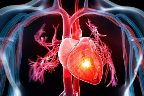 بحث عن القلب الحديدي pdf