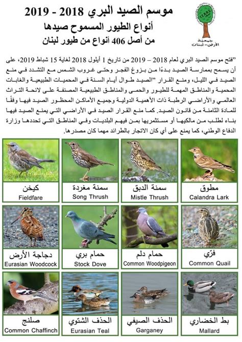 بحث ومعلومات عن كل طائر من الطيور فى العالم pdf