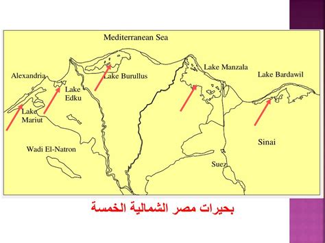 بحيرات مصر الشمالية pdf