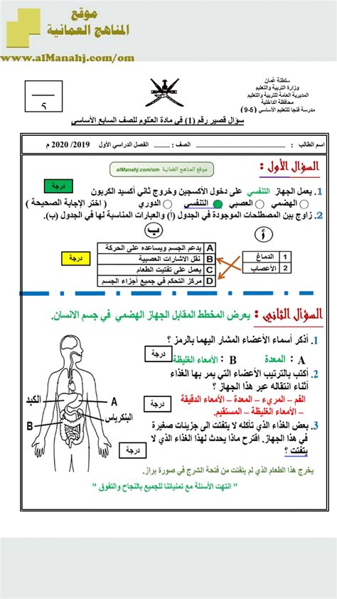 تحميل كتاب النشاط للصف الثالث الابتدائي