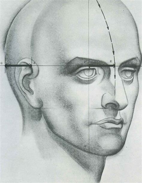 تحميل كتاب drawing the human head