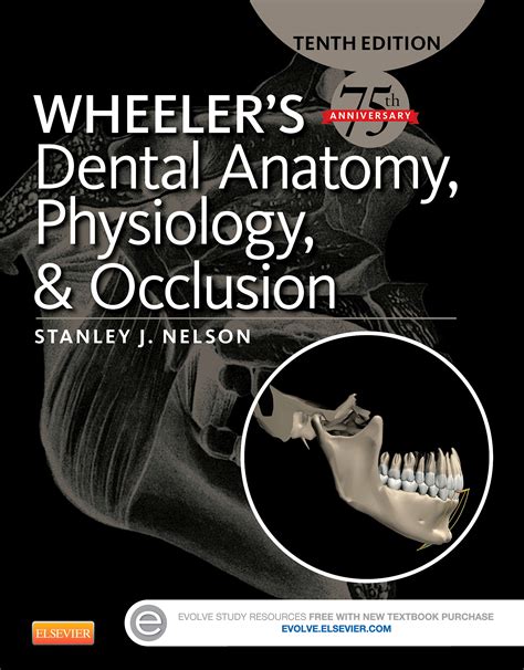 تحميل كتاب wheeler's dental anatomy