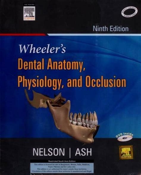 تحميل كتاب wheeler's dental anatomy