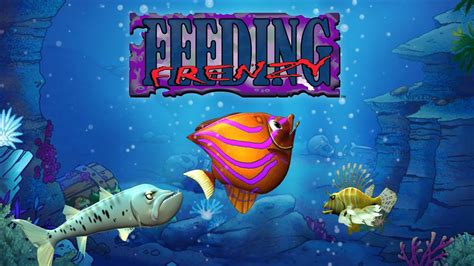 تحميل لعبة feeding frenzy 1 كاملة مجانا