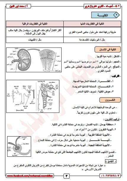 تحميل مذكرة في الاحياء للصف الثانى الثانوى pdf 2020