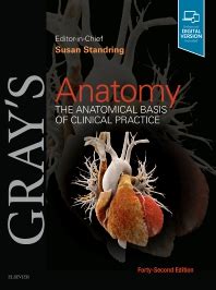 تحميل gray's anatomy