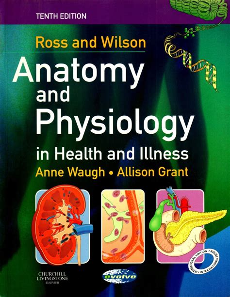تحميل ross and wilson anatomy and physiology
