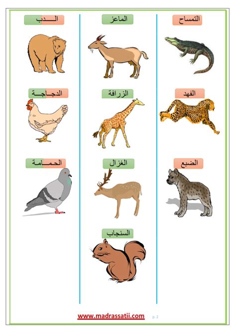 تصنيف الحيوانات حسب طريقة التغذية