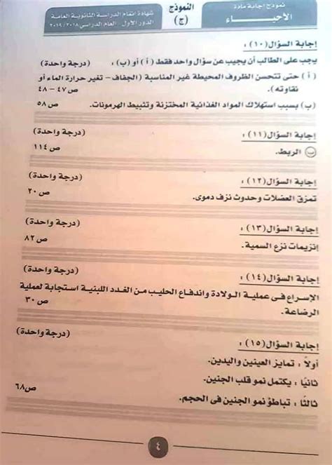 ثانوية عامةنموذج اجابة امتحان statics 2019 pdf