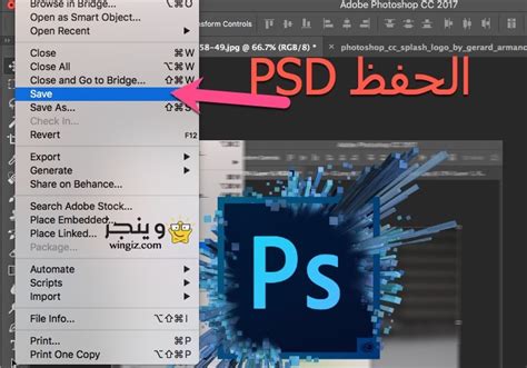 جهازي لا يحفظ بصيغة pdf