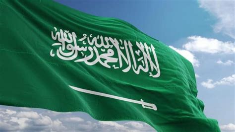 دستور المملكة العربية السعودية pdf