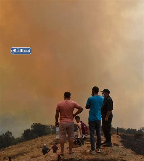 سبب حرائق الغابات في الجزائر 2022