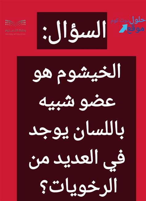 شبح دوت كوم ، يوجد العديد من المواقع الإلكترونية المتخصصة بعرض الأفلام والمسلسلات العالمية والعربية والذي عاد من جديد بعد توقفه