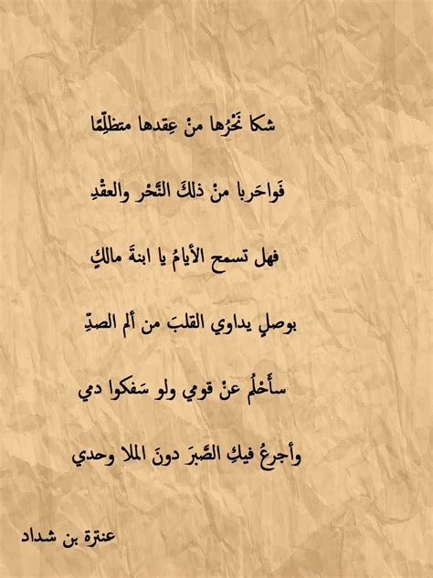 شعر عربي جآهہلي pdf