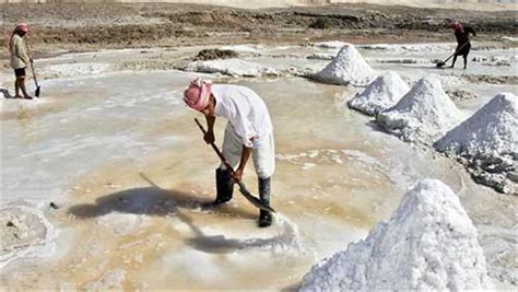 صناعة الملح فى مصر pdf